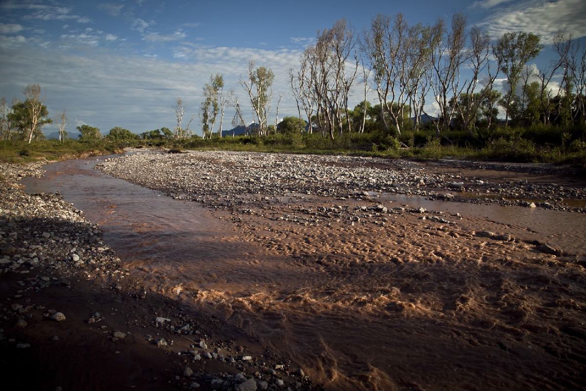 Mínima inversión de Grupo México para la protección ambiental