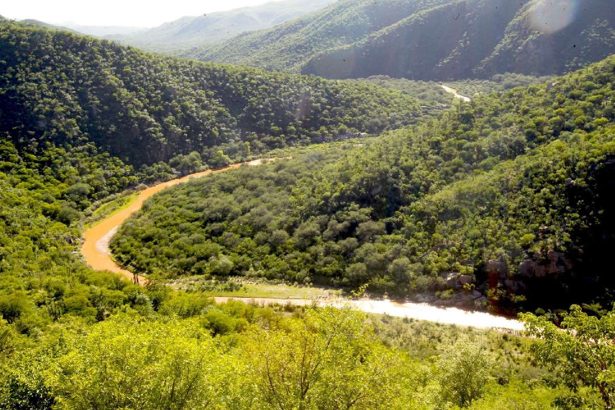 Contaminación en el río Sonora causada por Grupo México