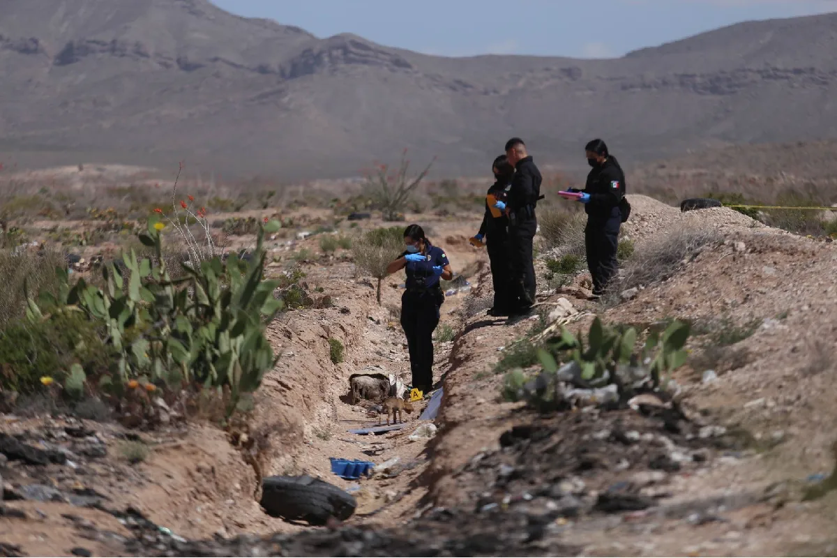 Guanajuato, Baja California y Chihuahua son top 3 en homicidios