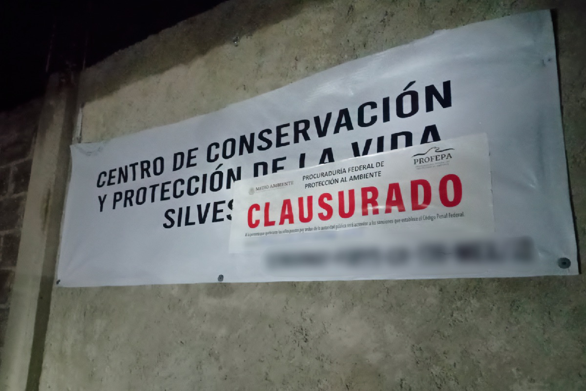 La Profepa clausuró el establecimiento privado que tenía bajo su resguardo a Kenzo