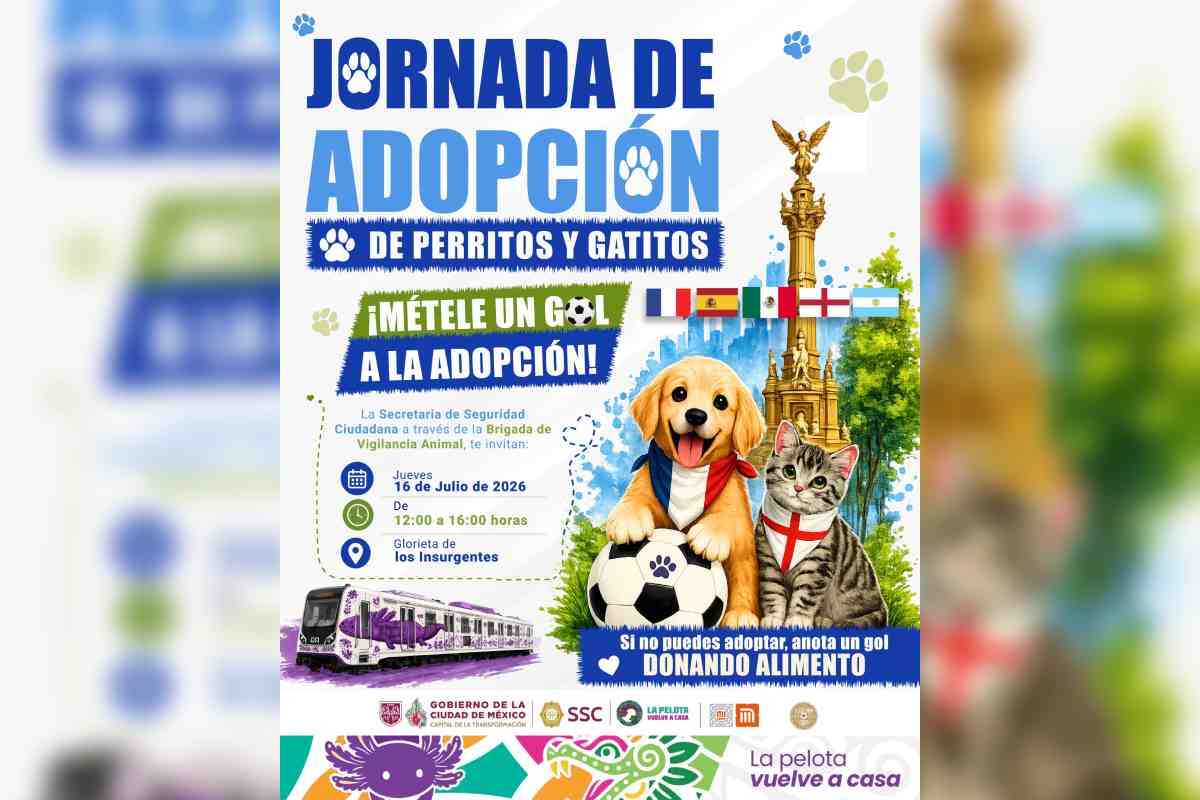 La jornada de adopción se realizará este jueves 16 de julio de 12:00 a 16:00 horas en la Glorieta de los Insurgentes. (Foto: Gobierno de la CDMX)