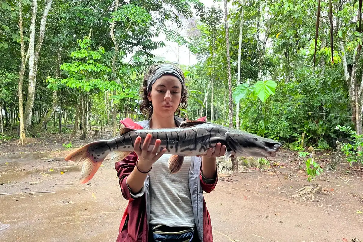 Una investigadora sostiene horizontalmente con ambas manos un pez de agua dulce de gran tamaño con manchas y rayas oscuras en un entorno boscoso.