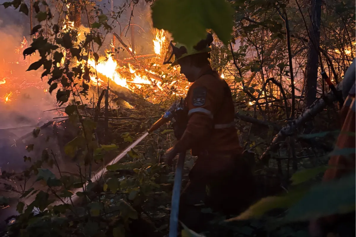 Premier de Ontario agradece a México ayuda contra incendios forestales