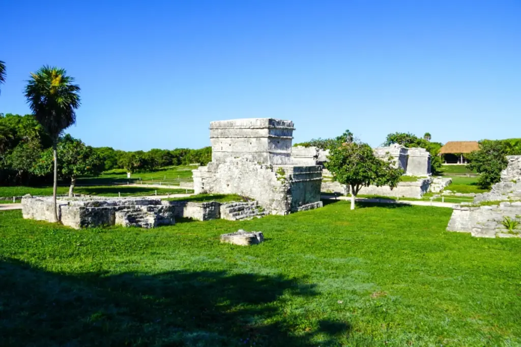 Zona arqueológica de Tulum con el pasto verde y algunas construcciones. 