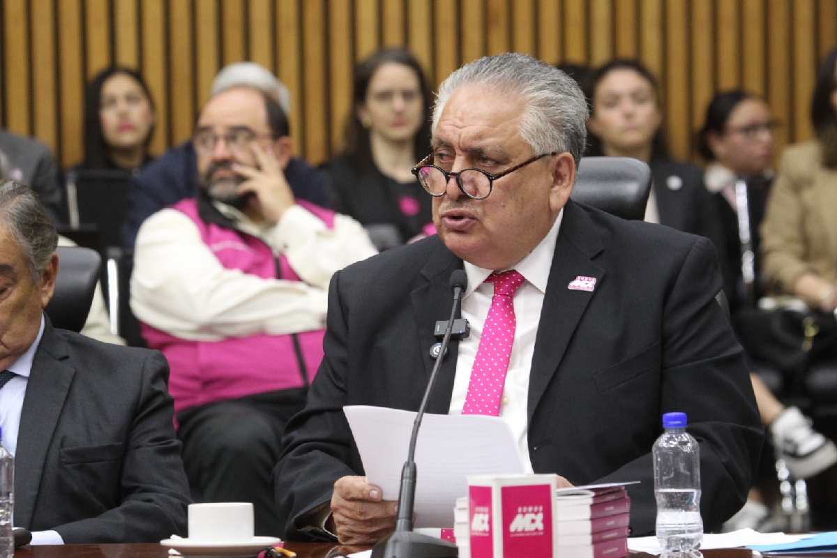 Guadalupe Acosta Naranjo, presidente del partido Somos México desde 2026.