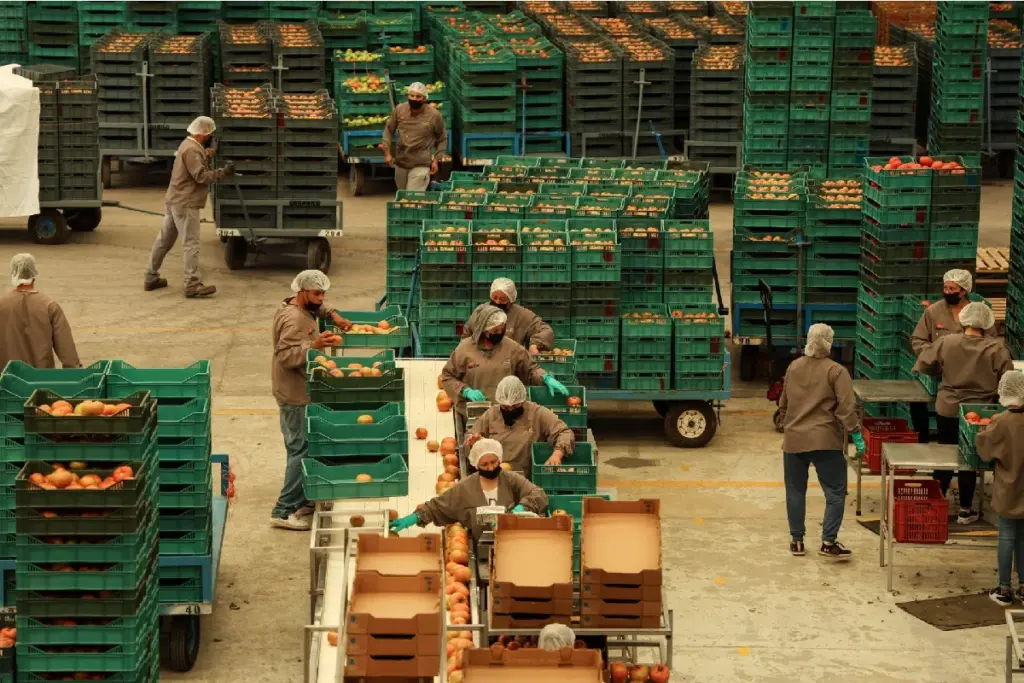 Diferentes gravámenes han sido propuestos por funcionarios estadounidenses hacia sus socios comerciales por incumplimientos cuando se actuaba contra el trabajo forzoso.