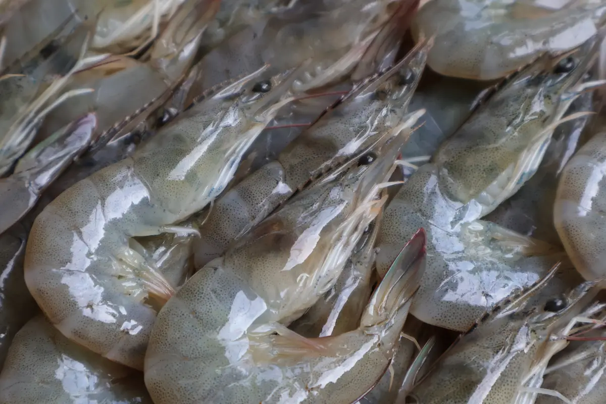 alimentos a evitar durante la canícula