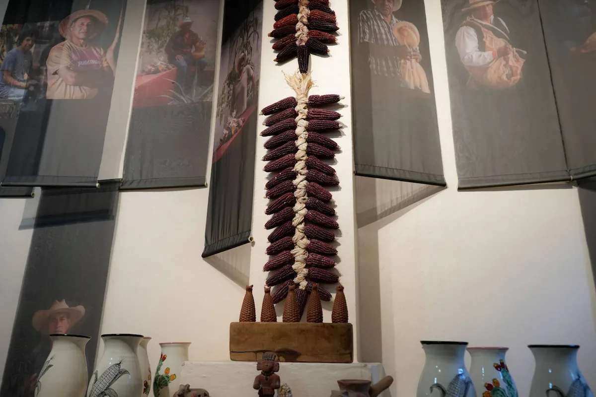 qué hacer en el museo vivo de la cocina 