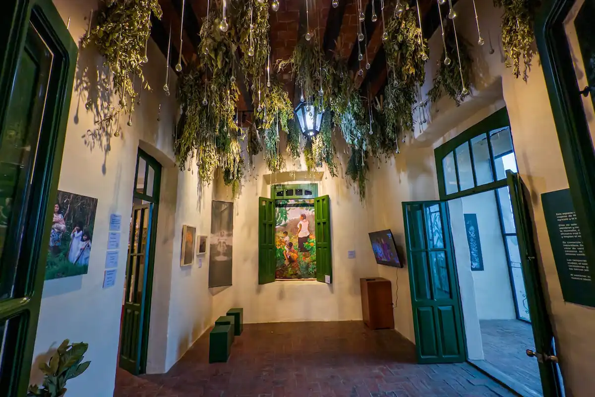 actividades que puedes hacer en museo vivo de la cocina