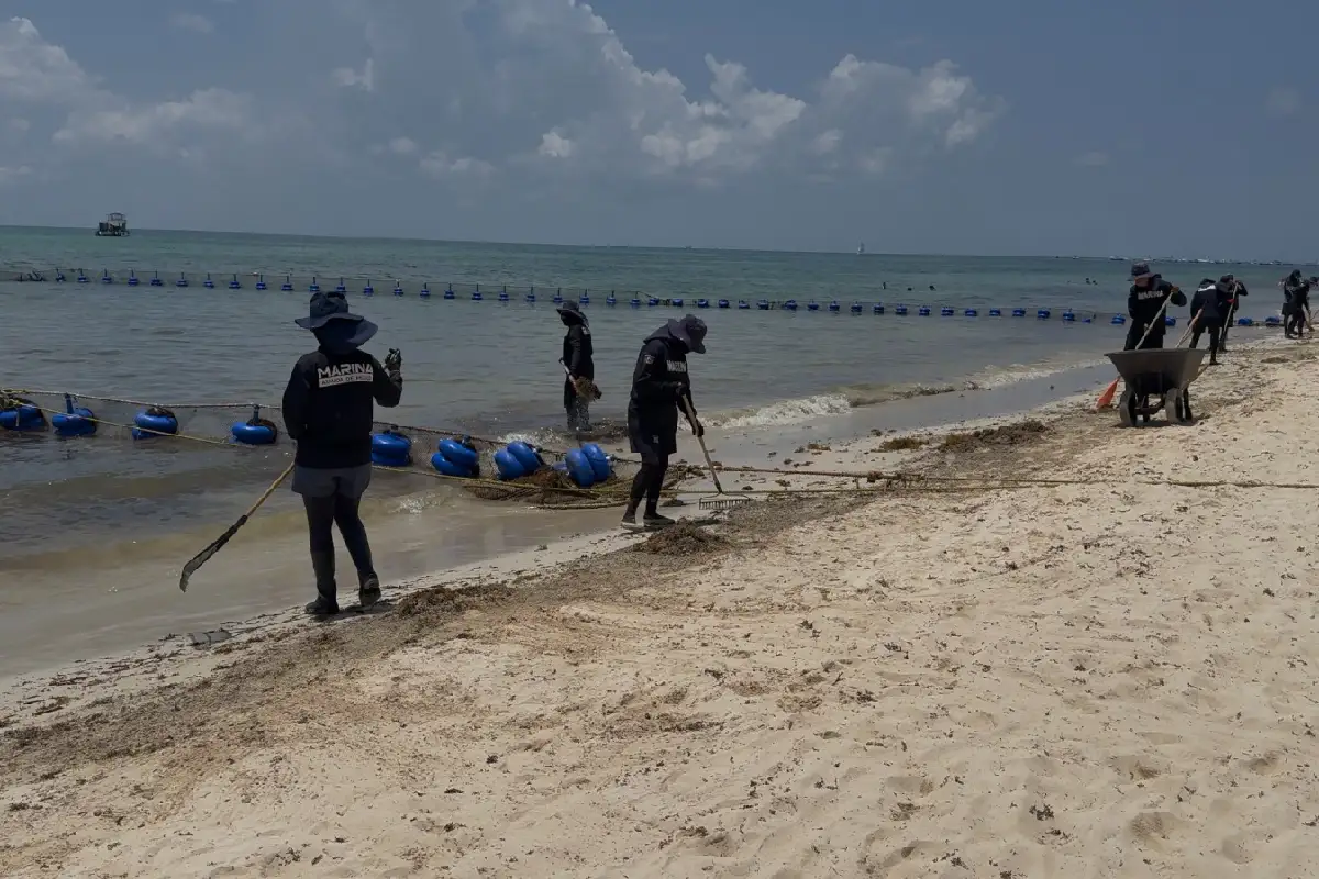 Sargazo en Cancún y Tulum: origen y crisis ambiental en el Caribe
