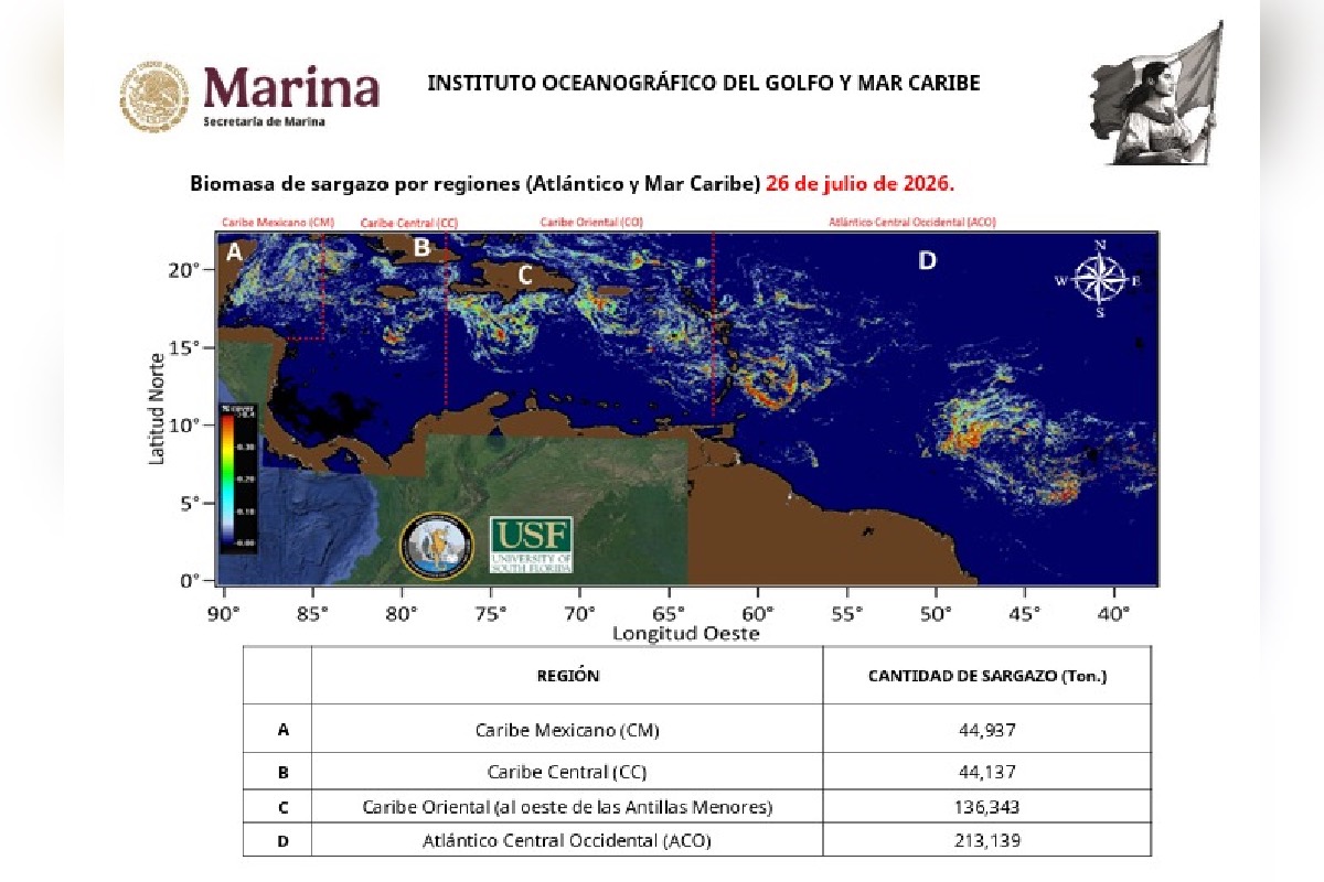 Registro de las toneladas que llegan a playas mexicanas