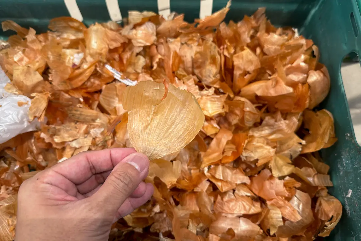 cómo hacer sazonado con cáscaras de cebolla