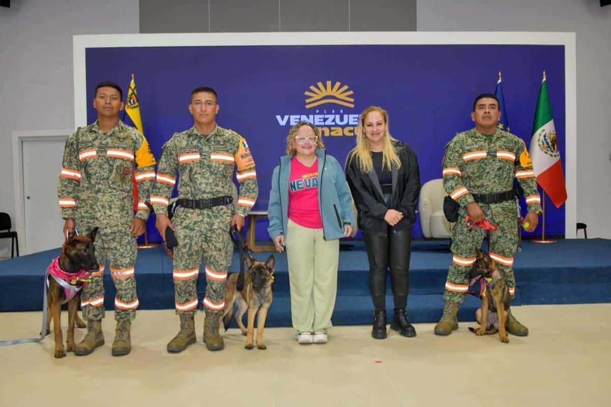 venezuela belga malinois mexico sismo ejercito