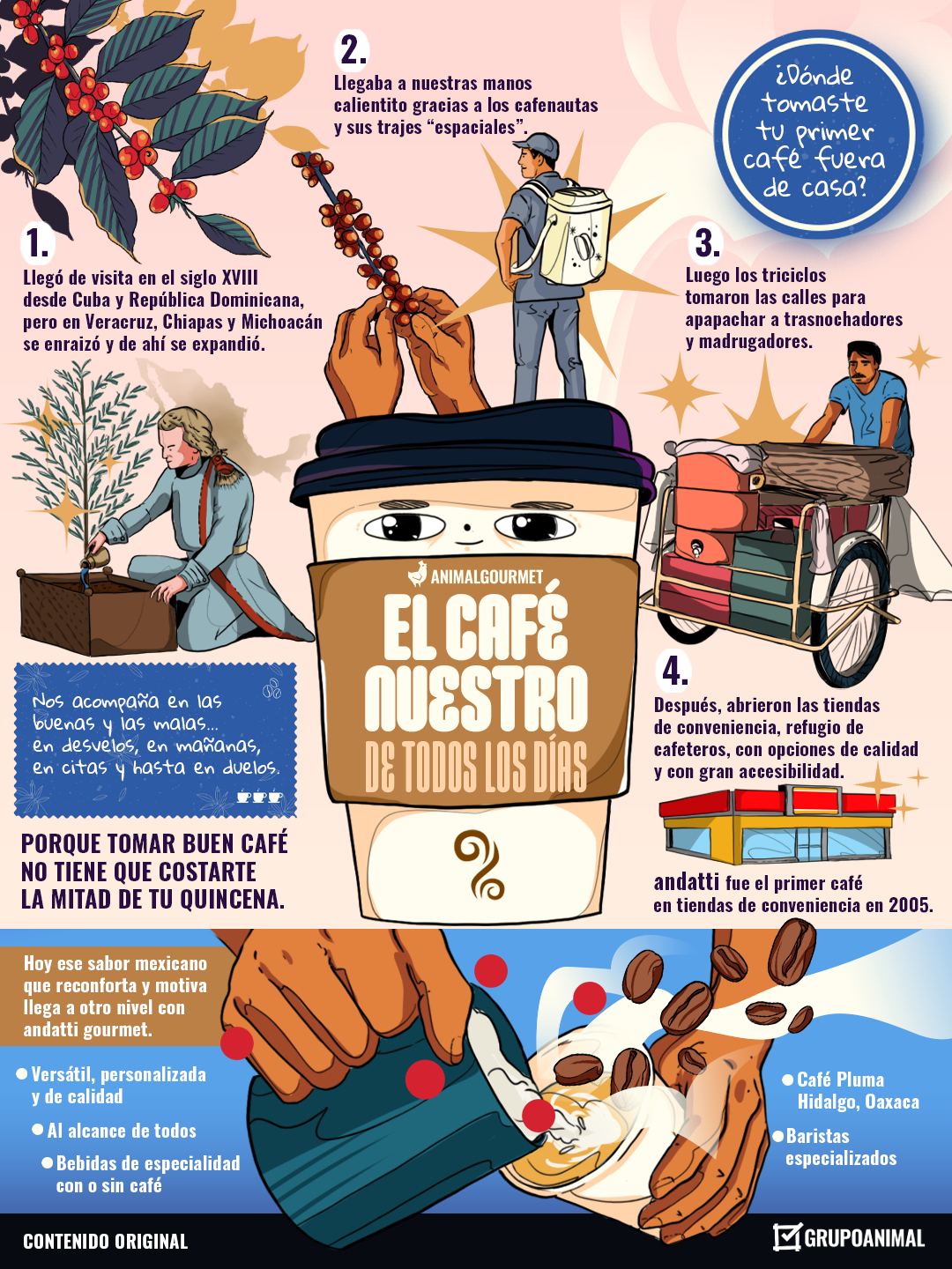 Infografía de café de especialidad