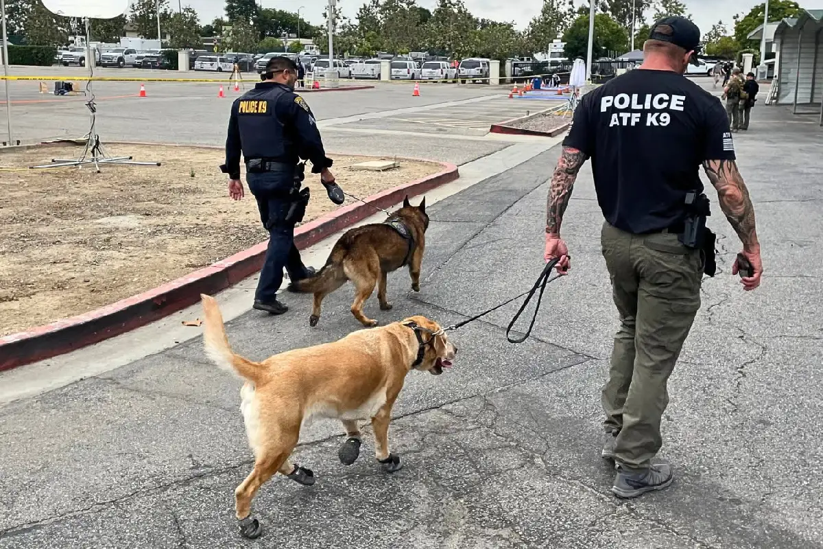 Cártel de Sinaloa planeó robo de drogas en Florida; condenan a dos