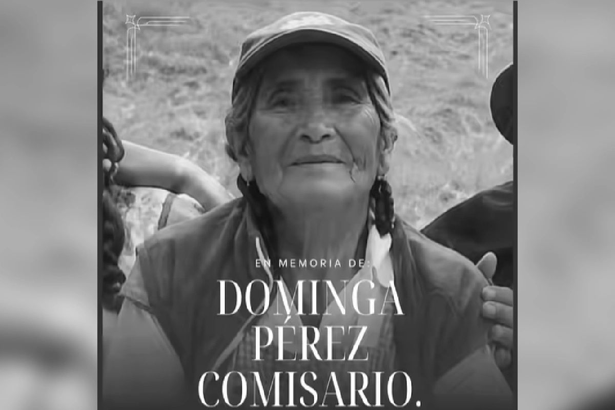 Dominga pérez puebla