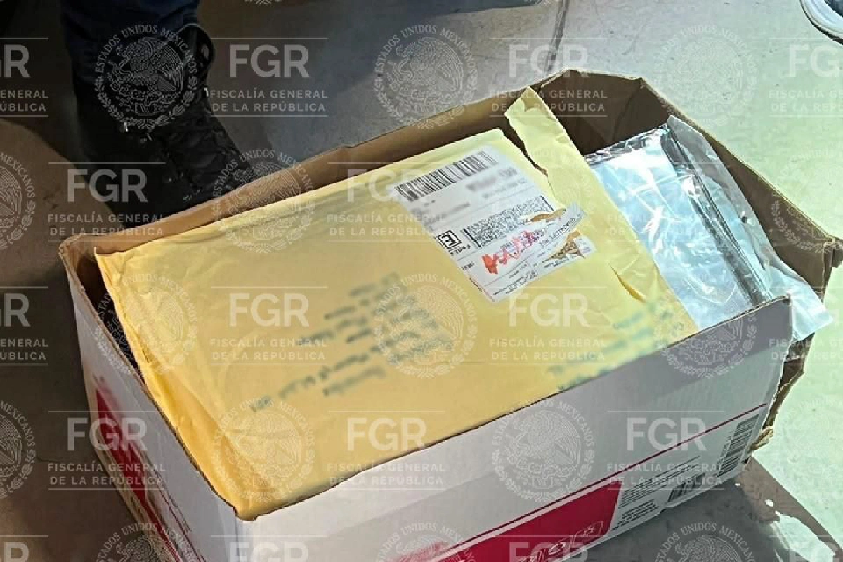 FGR catea bodegas en CDMX y localiza documentos de empresa de Ernesto Ruffo ligados a huachicol 
