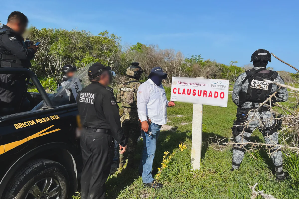 Desmonte ilegal en la Reserva de Celestún