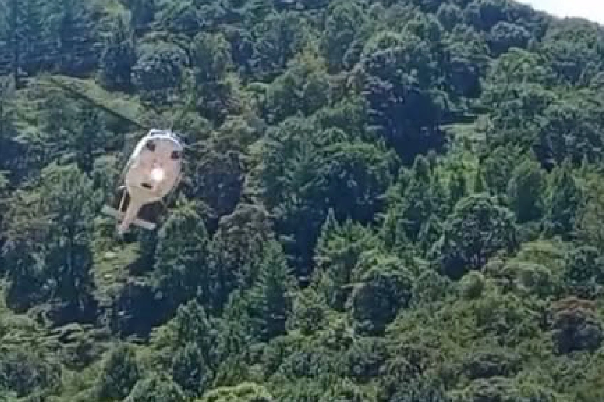 Helicóptero del gobernador de Chiapas y colaboradores aterrizan de emergencia tras percance con aves