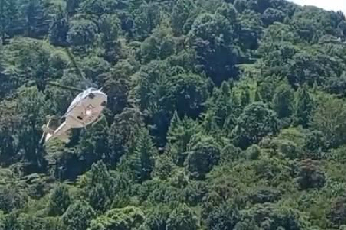 Helicóptero del gobernador de Chiapas y colaboradores aterrizan de emergencia tras percance con aves