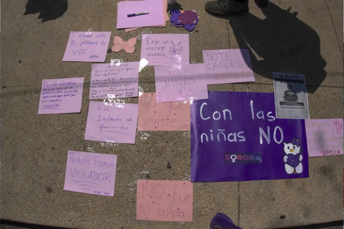 NOM-046_ 800 niñas y adolescentes recurrieron al aborto tras ser violadas (1)