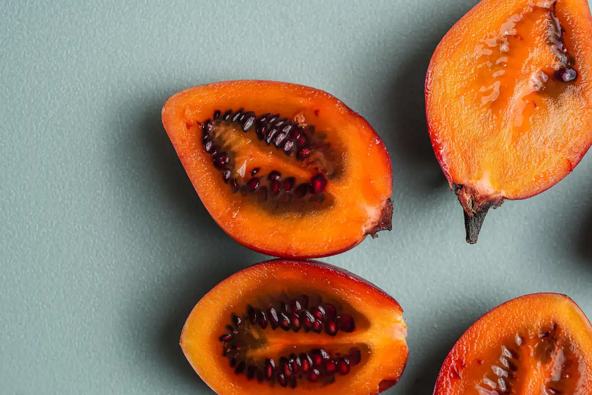 Tamarillo tipo de tomate