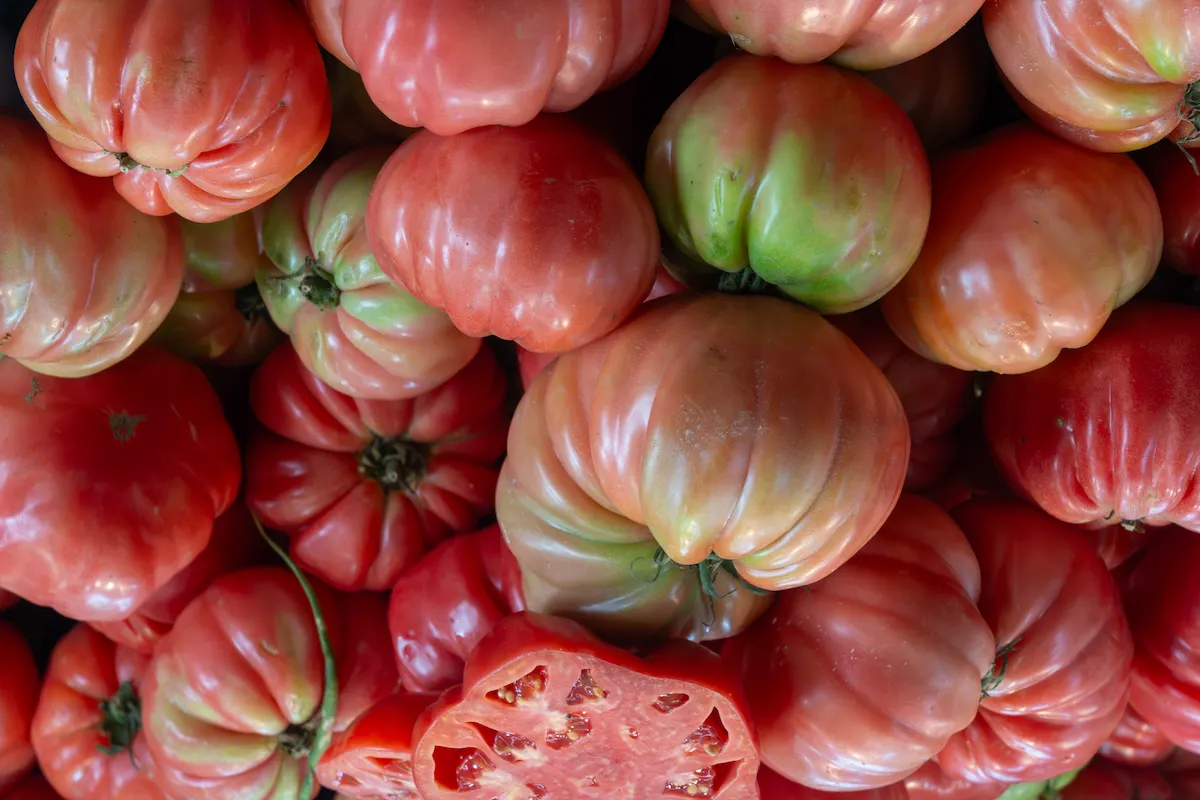 Tomate Rosado de Barbastro