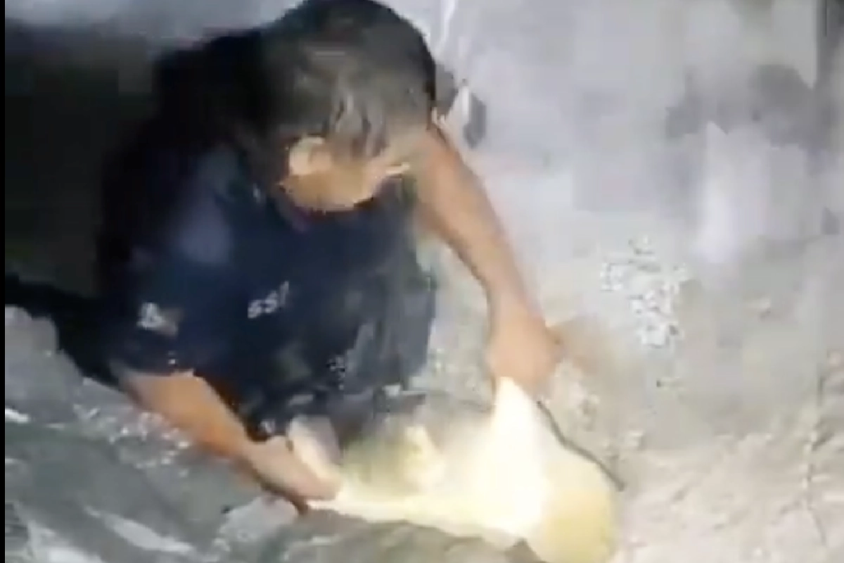 Un policía estatal de Baja California Sur rescató una tortuga en una playa de Los Cabos. Foto tomada de la web de la Policía.