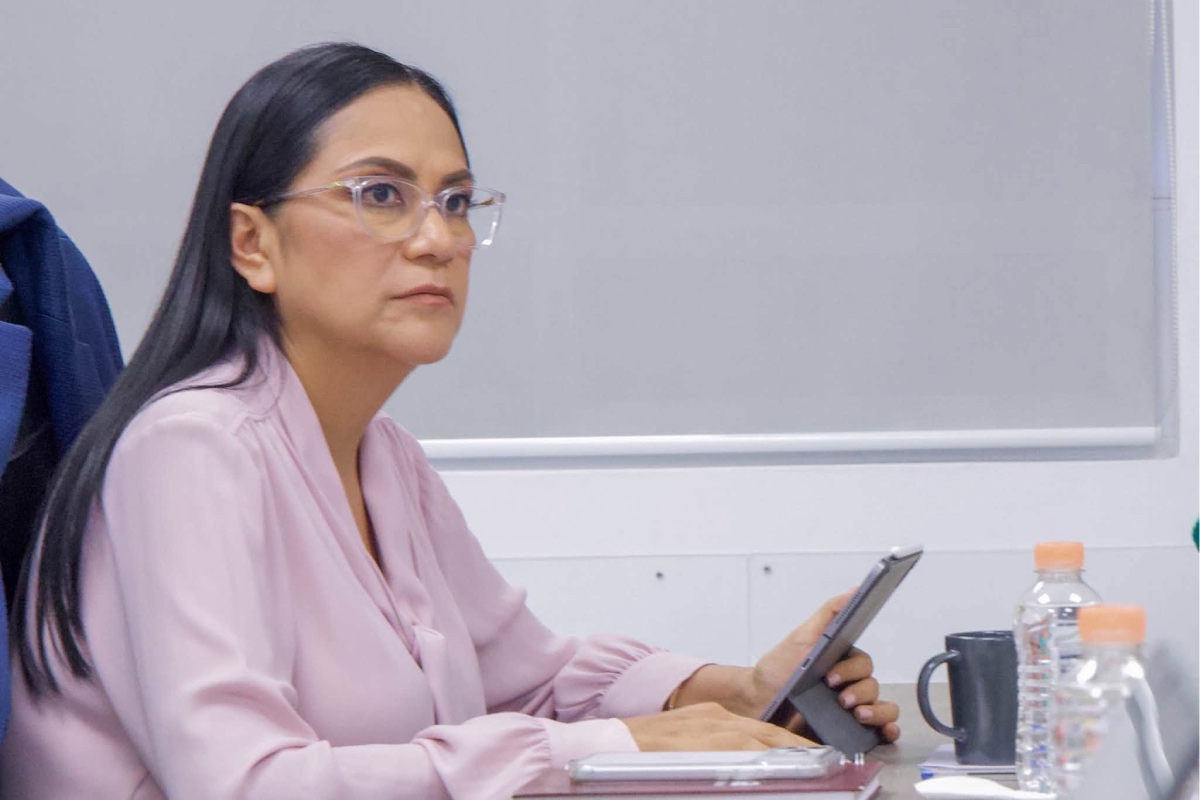 Citlalli Hernández: dirigencias de Morena, PT y PVEM definirán alianzas para 2027, pese a pugnas locales
