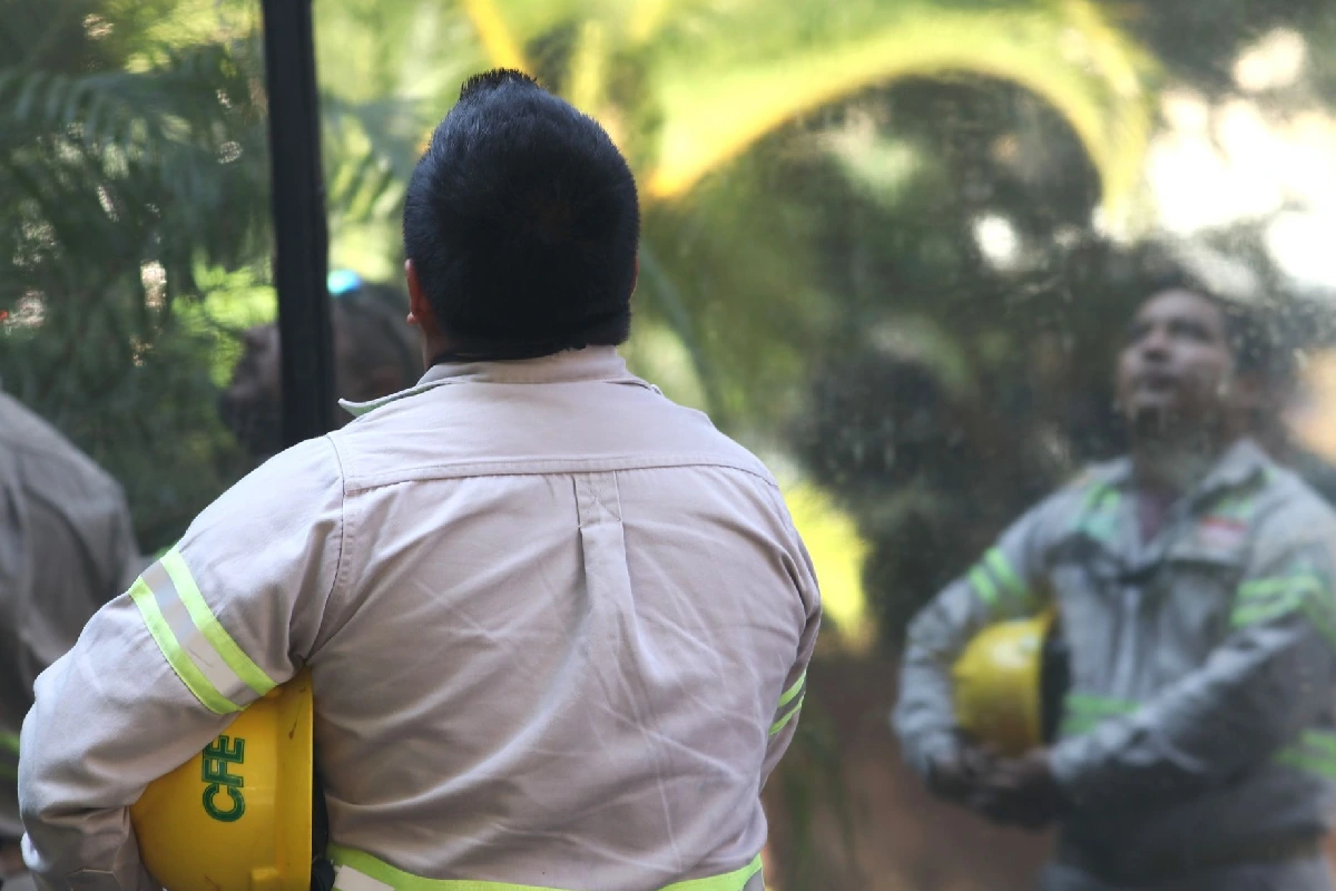 Señalan anomalías en arrendamiento vehicular en CFE