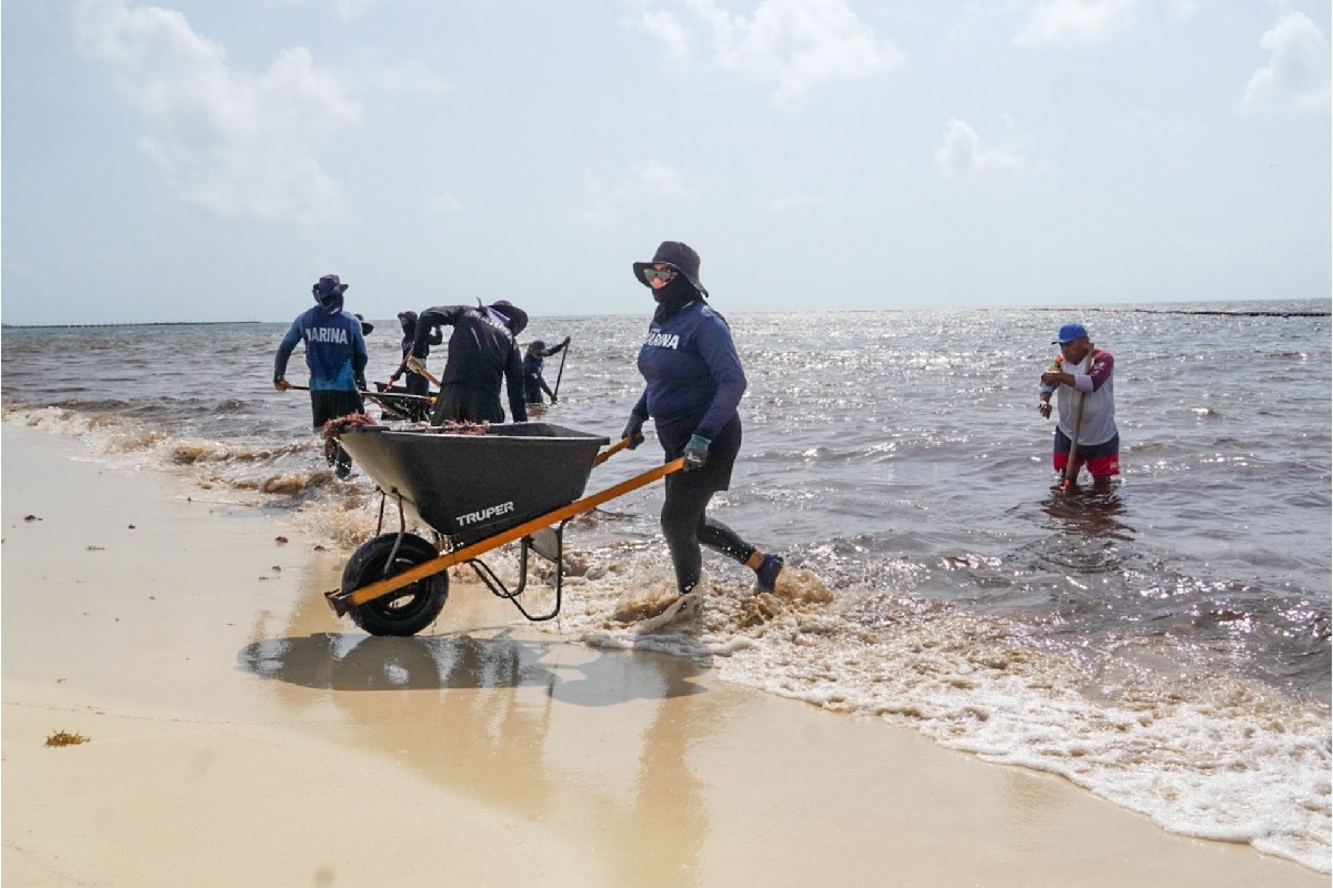 Crisis climática cambia el Caribe mexicano: aumenta el sargazo, la temperatura y el nivel del mar