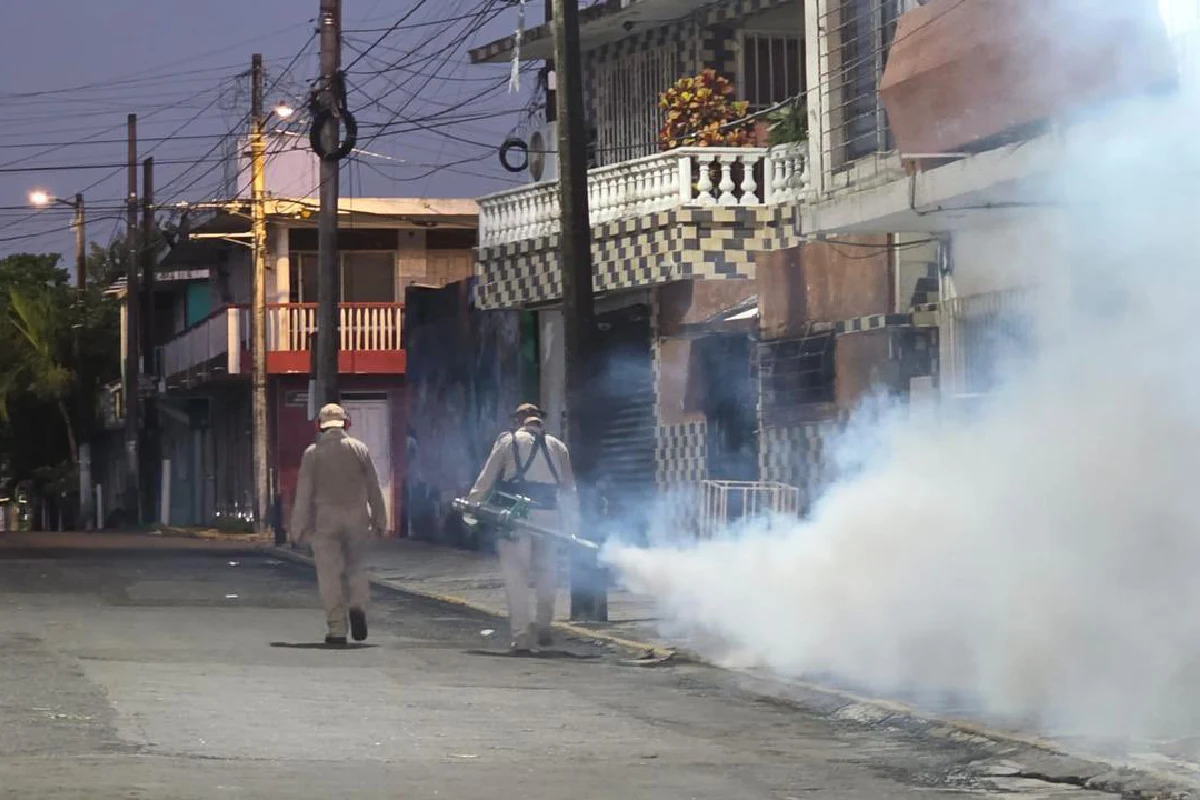 Autoridades sanitarias realizan fumigaciones para combatir la plaga de mosquitos. Foto de X/SSaludmx.