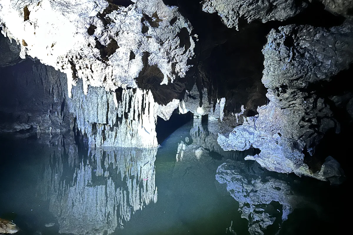 En estos sitios se encuentran desde arañas hasta murciélagos.
