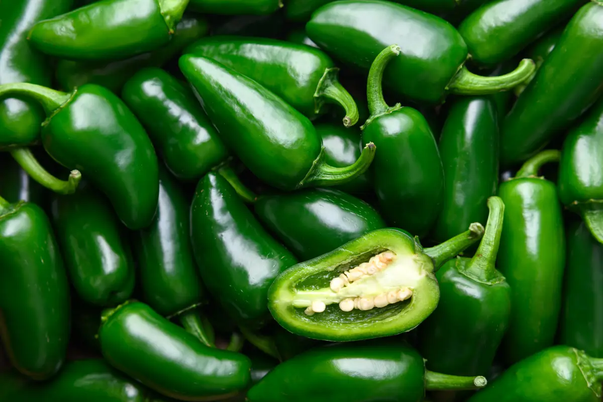 Vista superior de los chiles verdes mexicanos jalapeños de cerca.