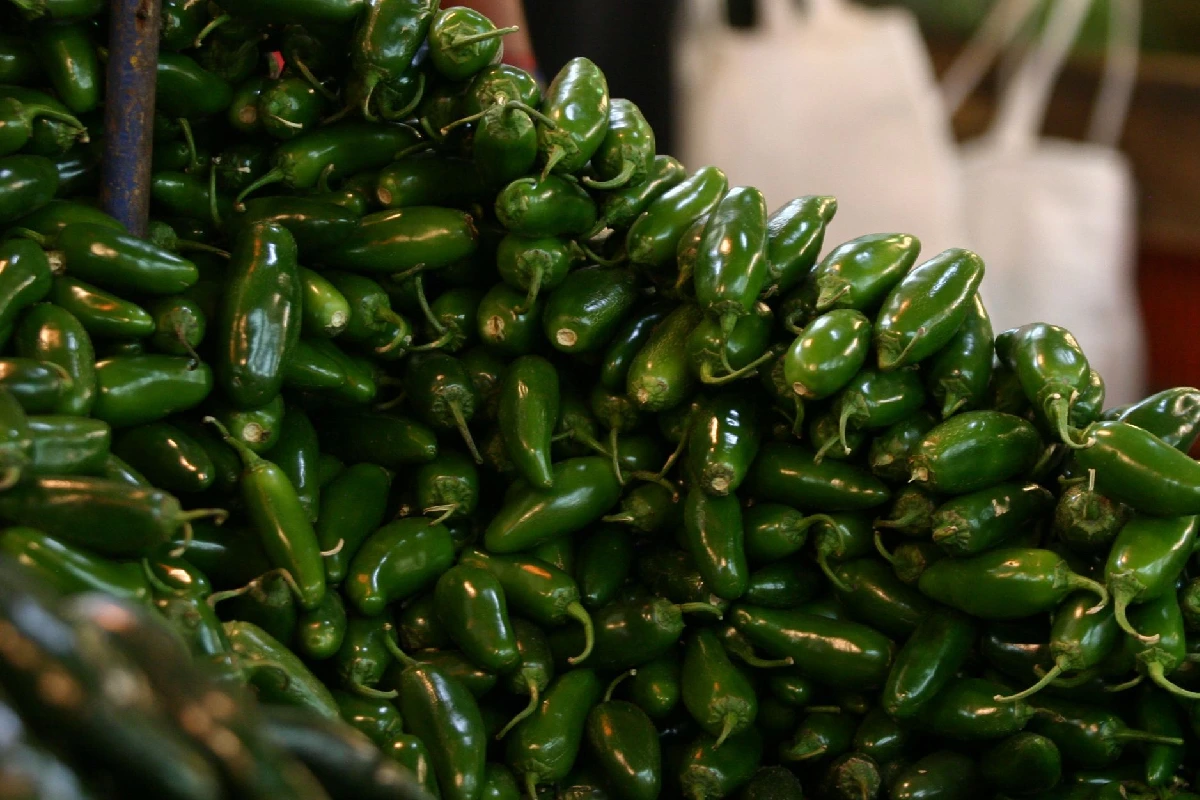 chiles jalapeños salmonela estados unidos