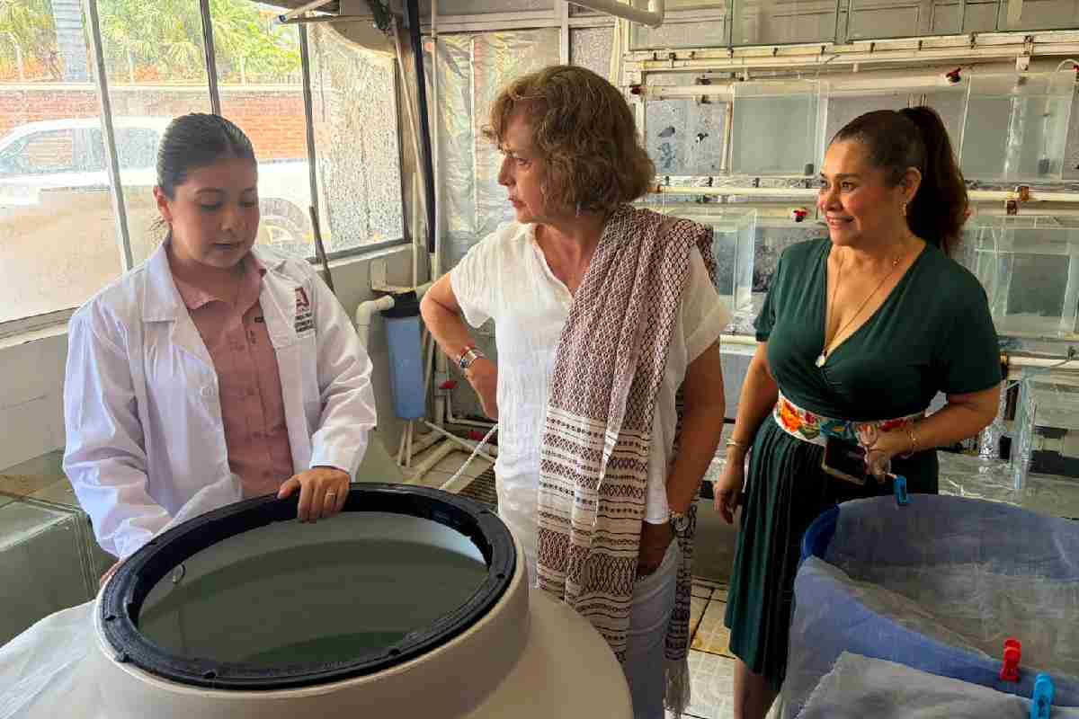 ciad-mazatlan-investigaciones-vph-obesidad-acuacultura-inteligencia-artificial