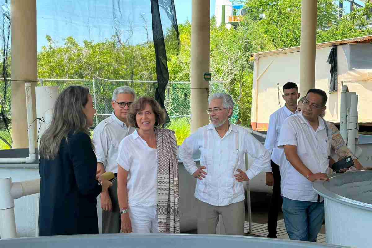 ciad-mazatlan-investigaciones-vph-obesidad-acuacultura-inteligencia-artificial