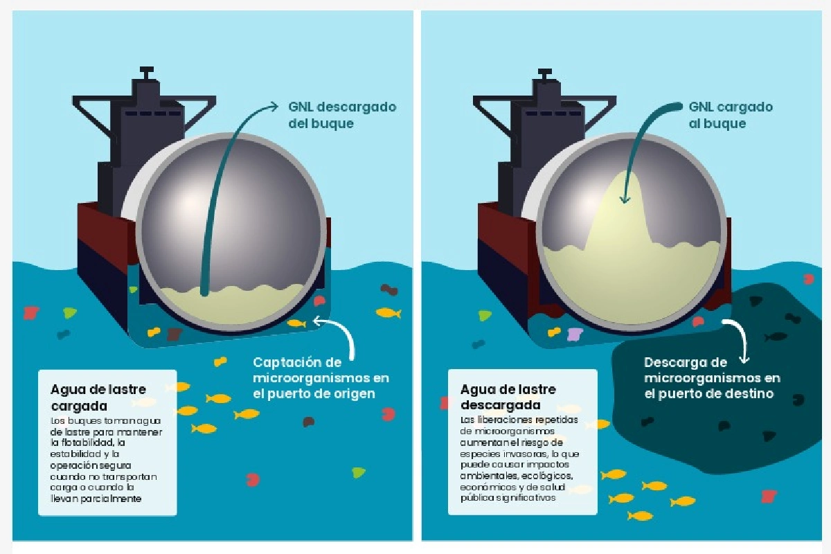 descarga aguas lastre golfo california