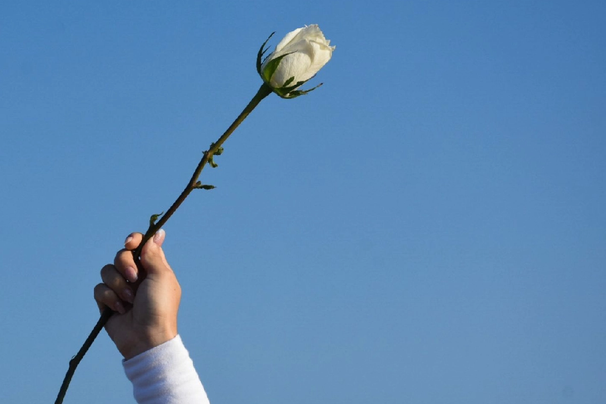 Quintana Roo registró de enero a julio de 2026 un total de nueve feminicidios.