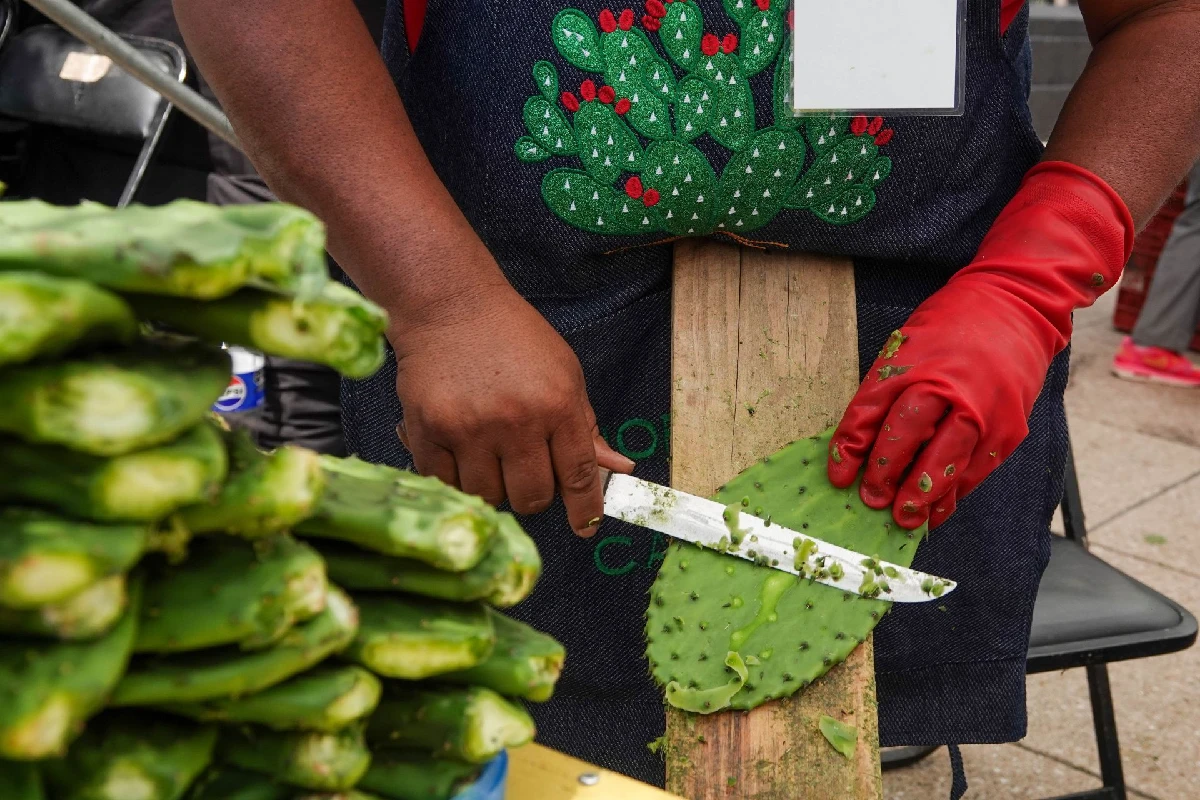 La Feria del Nopal 2026 llegará este fin de semana al Monumento a la Revolución. (Foto: Cuartoscuro)