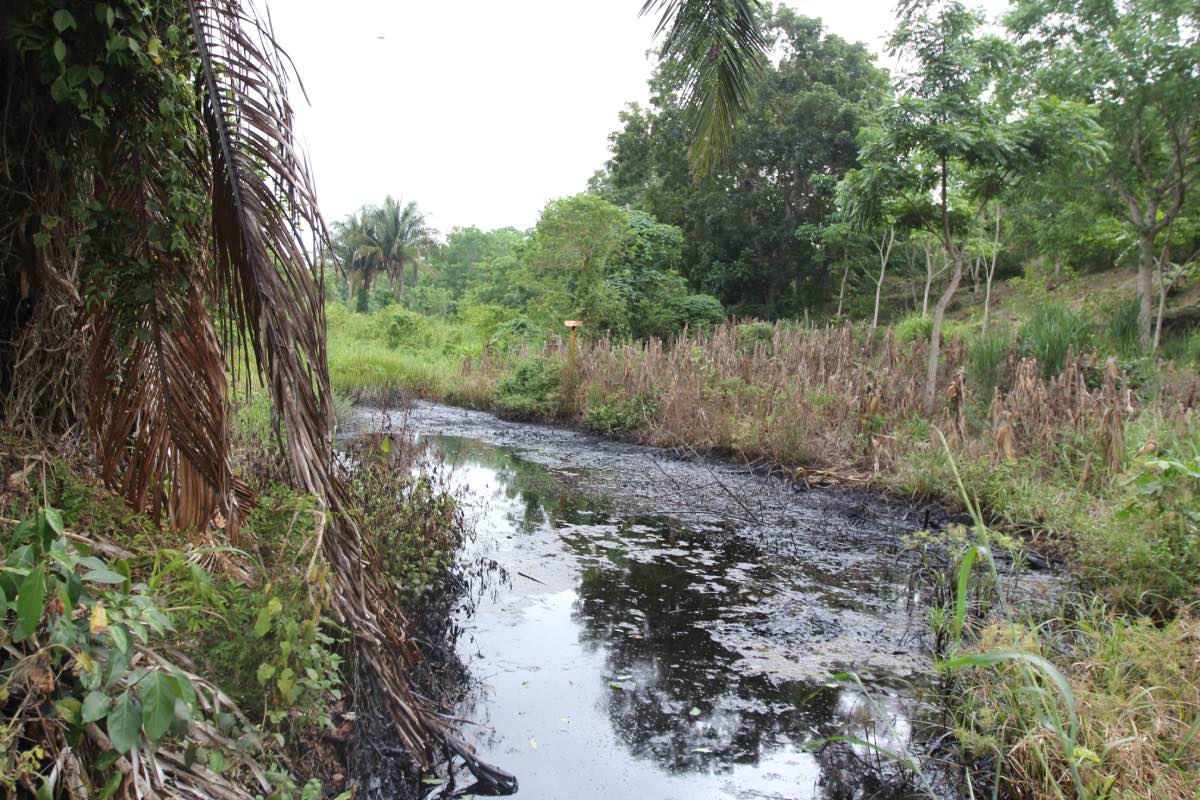La conversación se ha centrado en el agua, la contaminación e impactos a las comunidades, peor no se tocan los compromisos climáticos, dijo un especialista