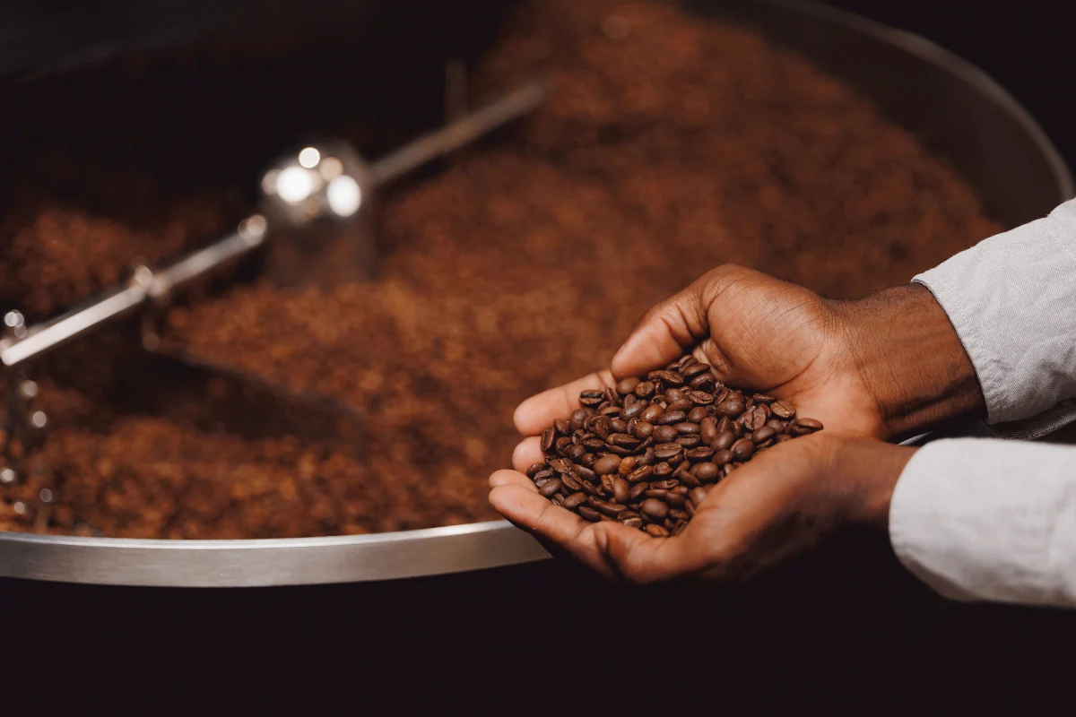 hombre sosteniendo granos de café y café molido al fondo