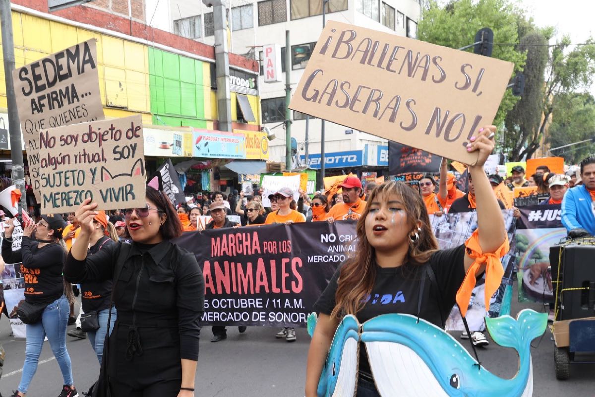 El medio ambiente, una de las preocupaciones más extendidas entre la juventud mexicana