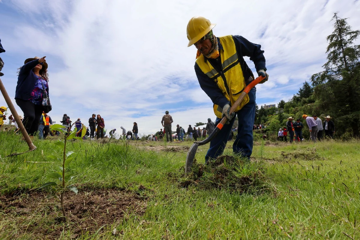 De acuerdo con datos de la nueva herramienta, nueve alcaldías de la ciudad concentran un riesgo alto por altas temperaturas entre los meses de marzo y junio. (Foto: Cuartoscuro)