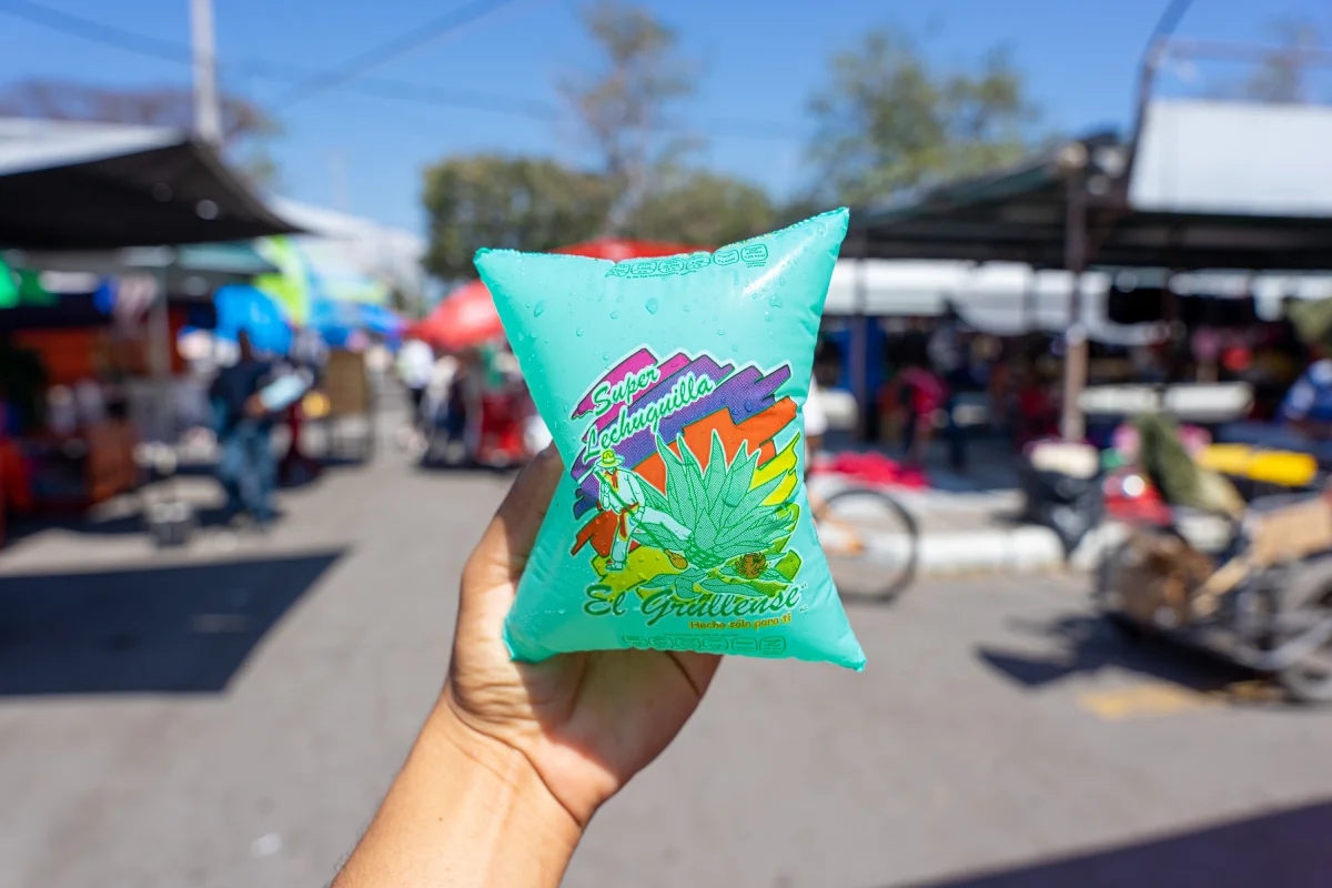 bolsa de lechuguilla local