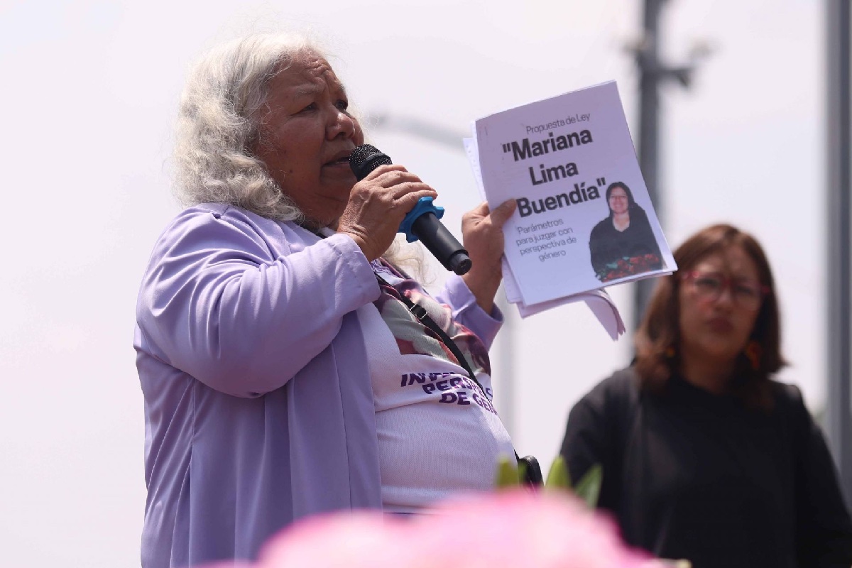 Especialistas y víctimas piden garantizar financiamiento en Ley contra Feminicidio