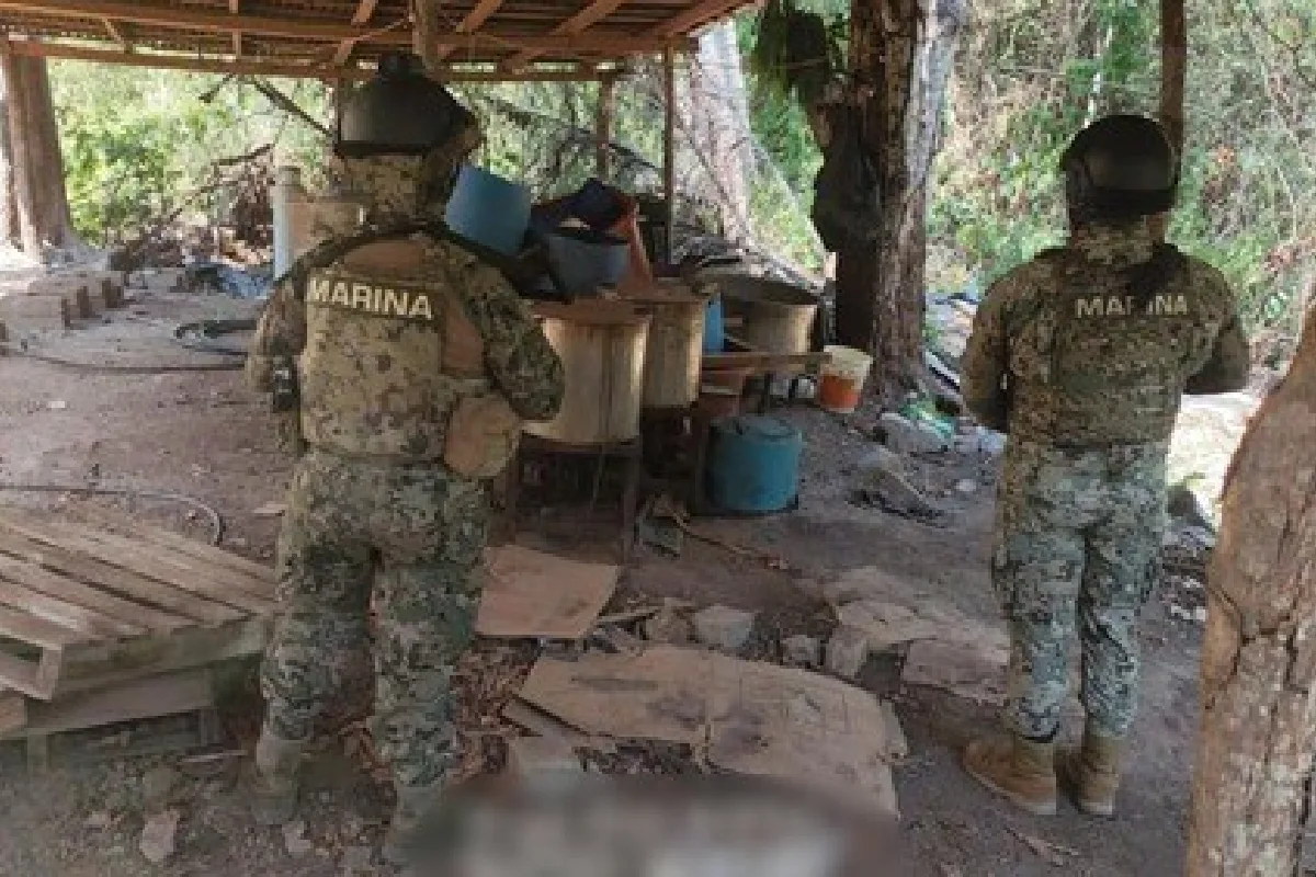 narcolaboratorio encinal michoacán