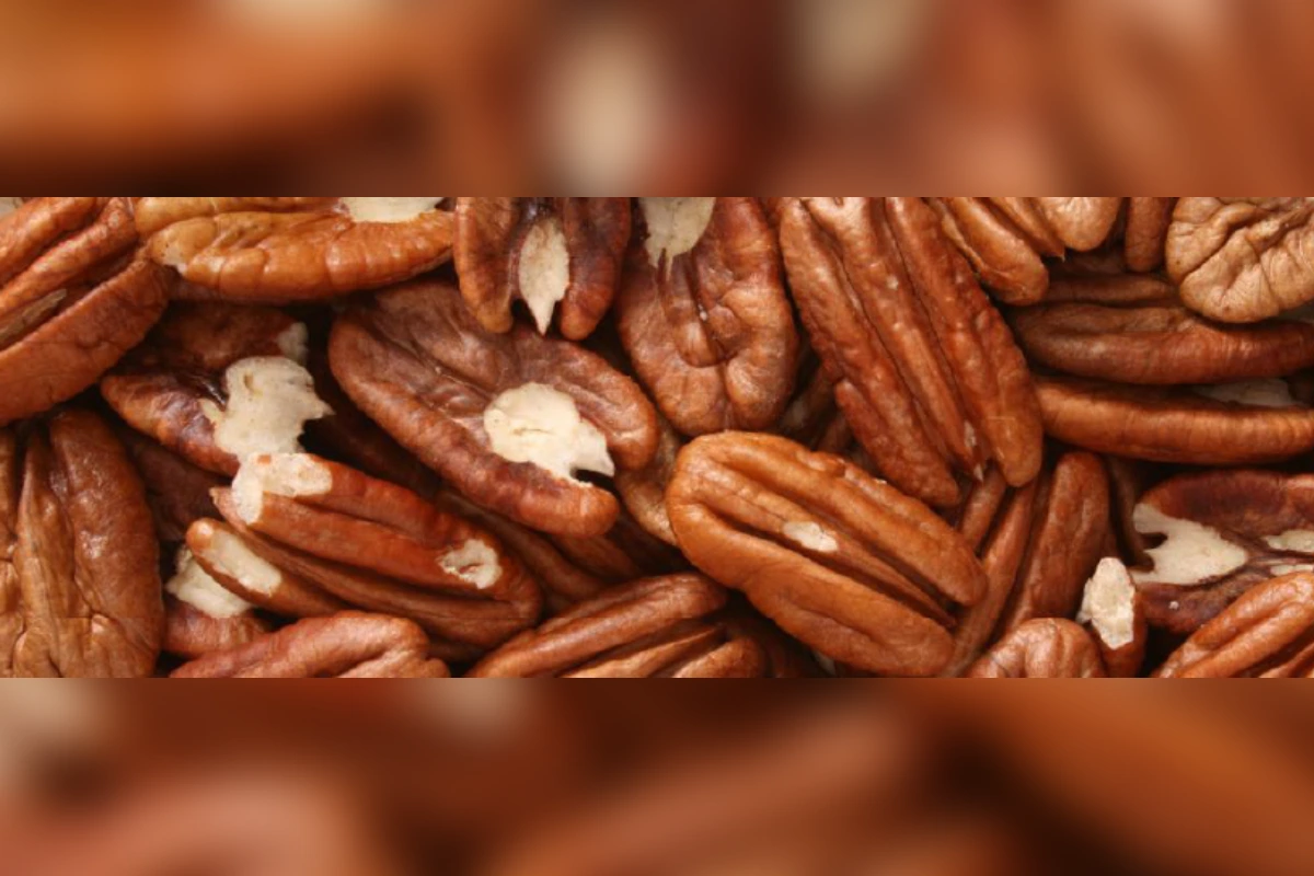 NUECES