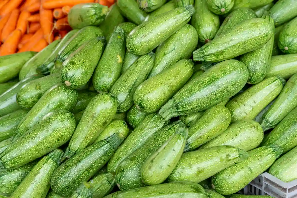 calabacitas italianas usadas en recetas