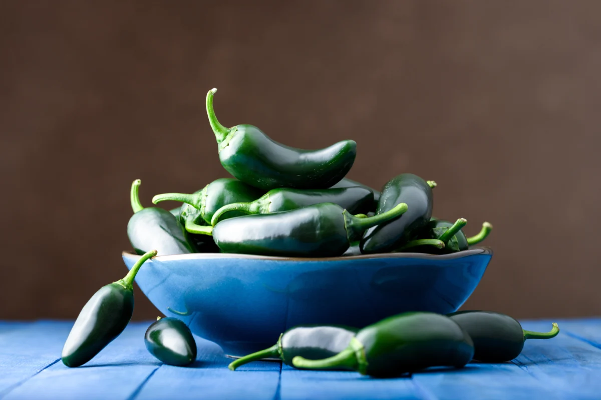 Chiles jalapeños apilados adentro de una plato